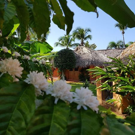 라스갈레라스 Solazul B&B 외부 사진